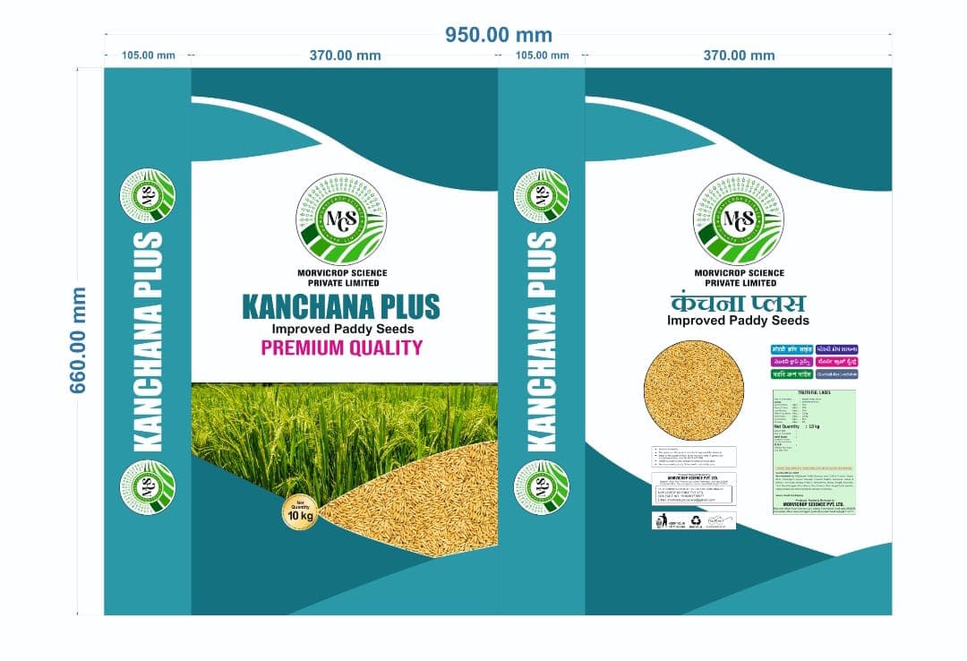 Kanchana Plus (Paddy)