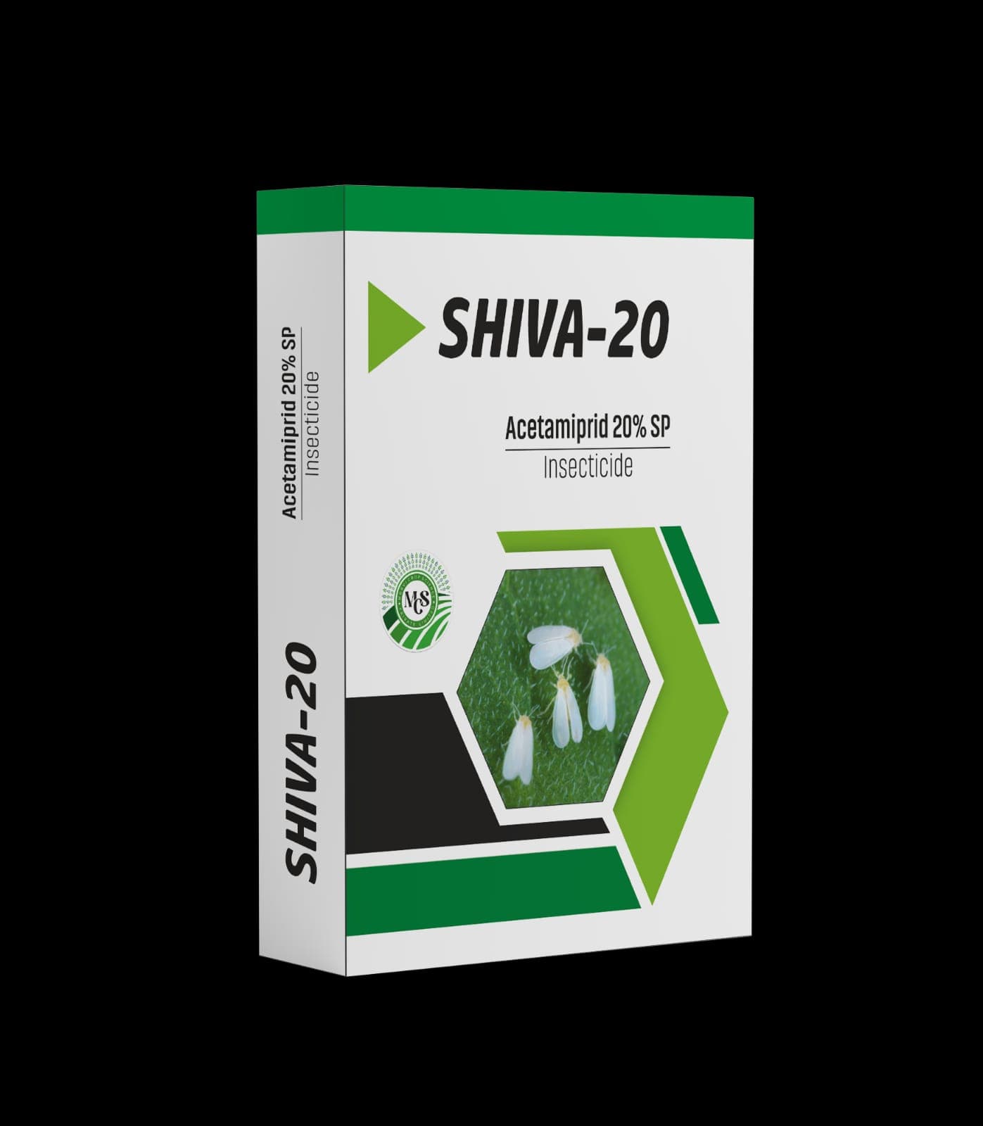 Shiva-20