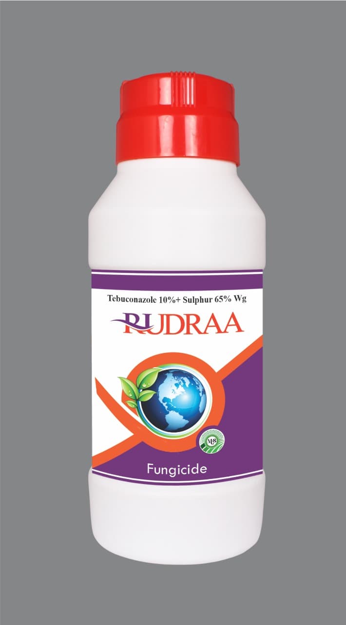 Rudraa Fungicide