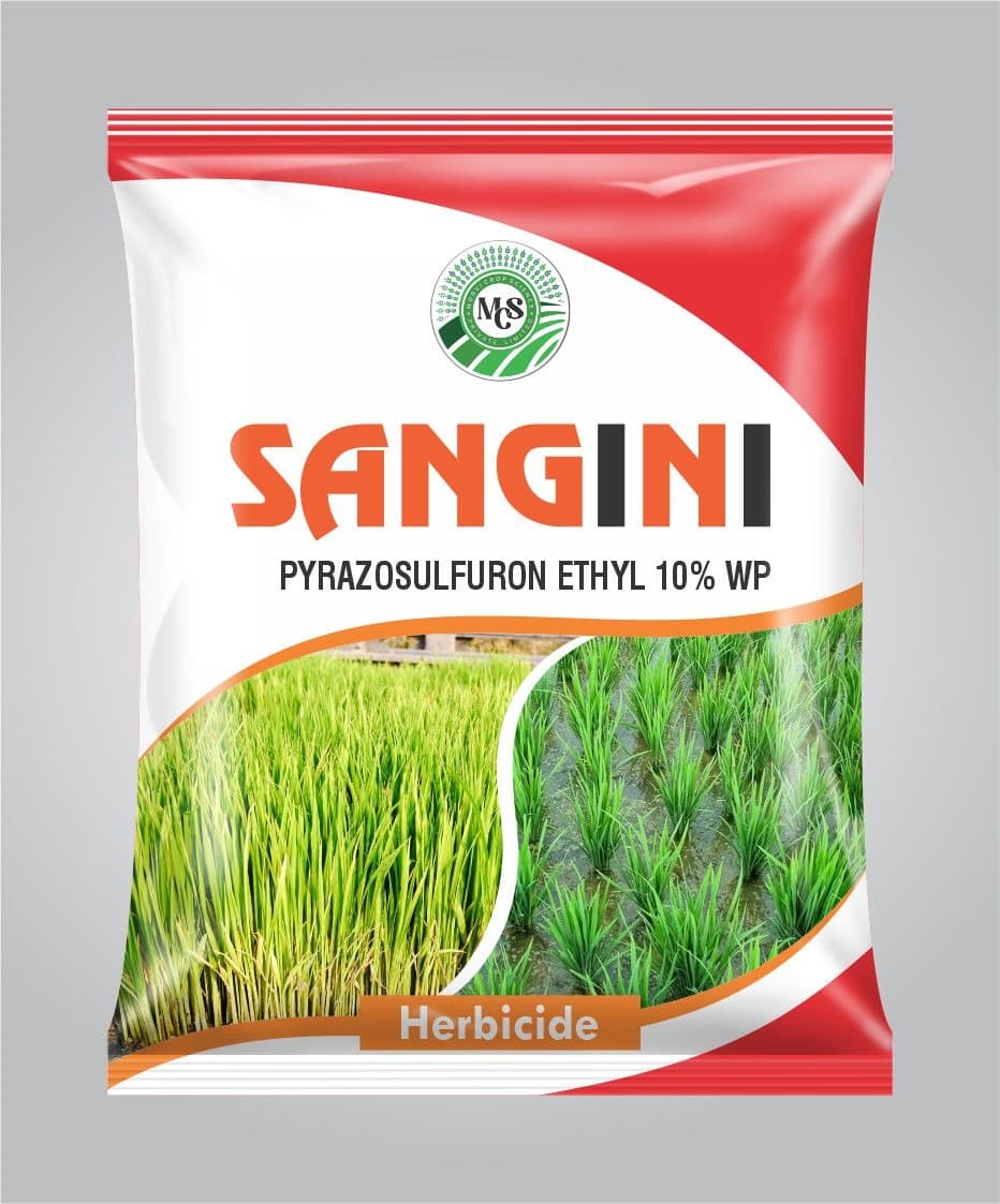 Sangini
